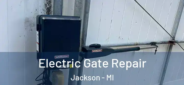  Electric Gate Repair Jackson - MI