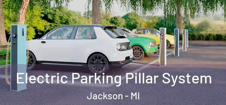  Electric Parking Pillar System Jackson - MI