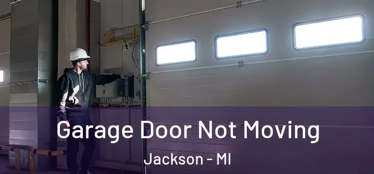  Garage Door Not Moving Jackson - MI