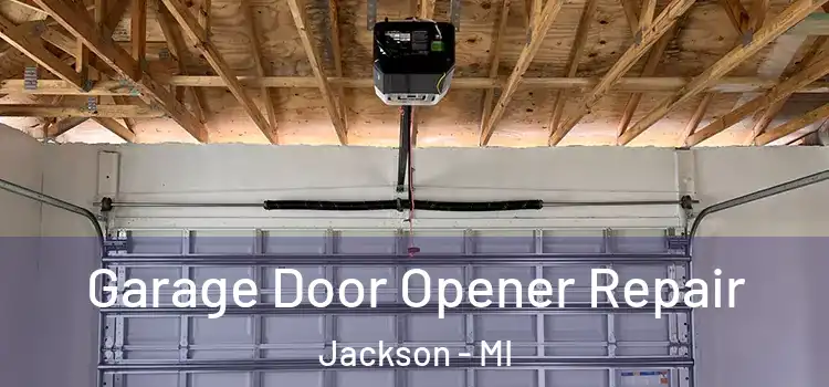  Garage Door Opener Repair Jackson - MI