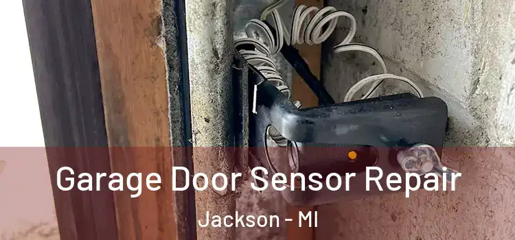  Garage Door Sensor Repair Jackson - MI