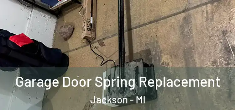  Garage Door Spring Replacement Jackson - MI