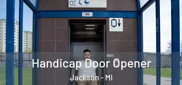 Handicap Door Opener Jackson - MI