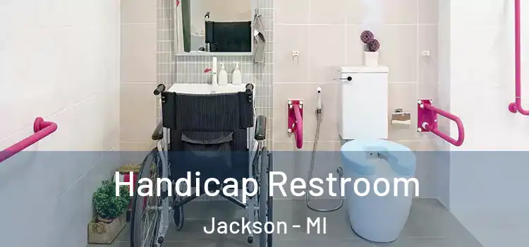  Handicap Restroom Jackson - MI