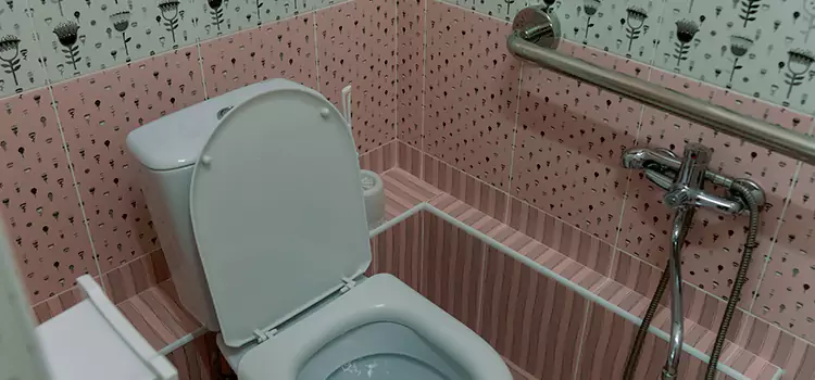 Meeting Diverse Needs With Accessible Restroom Solutions in Jackson, MI