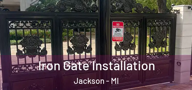  Iron Gate Installation Jackson - MI