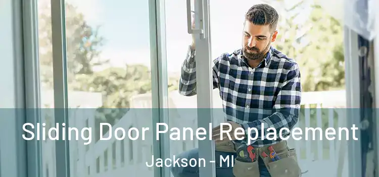  Sliding Door Panel Replacement Jackson - MI